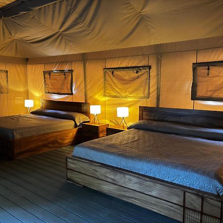 Arenal Backpackers Resort La Fortuna Eksteriør bilde