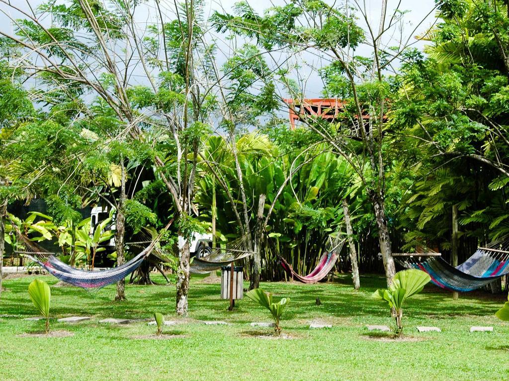 Arenal Backpackers Resort La Fortuna Eksteriør bilde Hammocks in the garden of a hostel in Central America