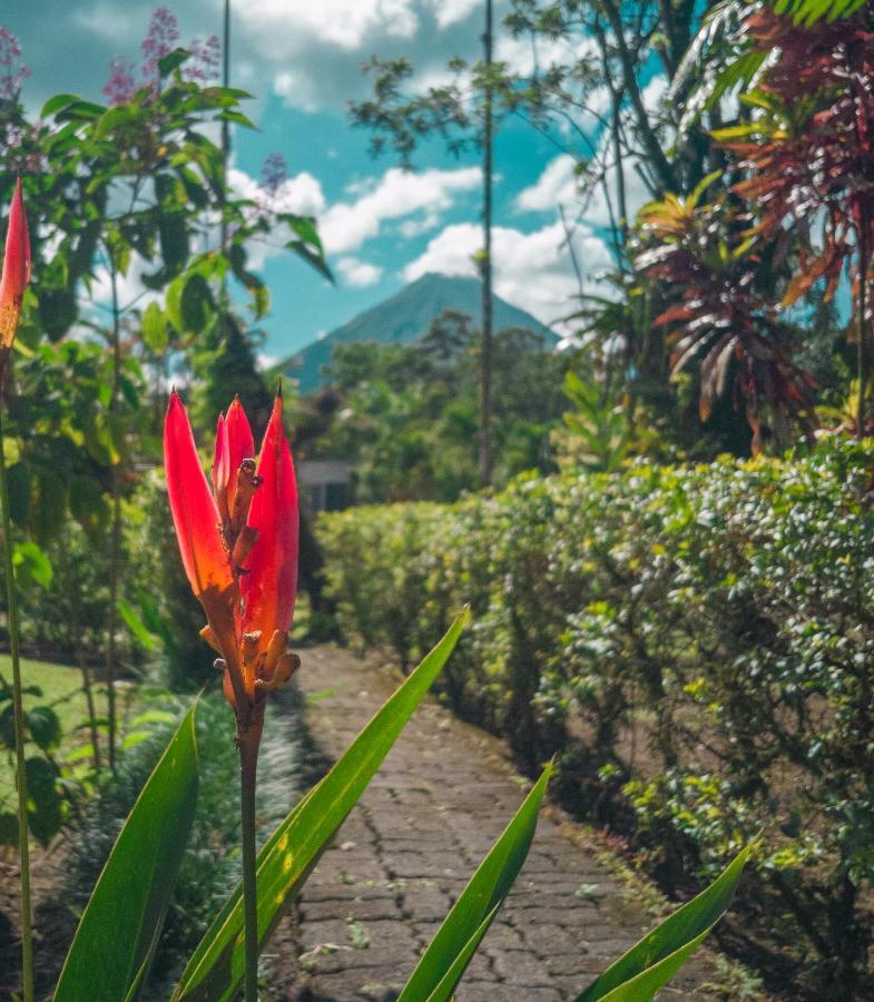 Arenal Backpackers Resort La Fortuna Eksteriør bilde A view of Mount Apo