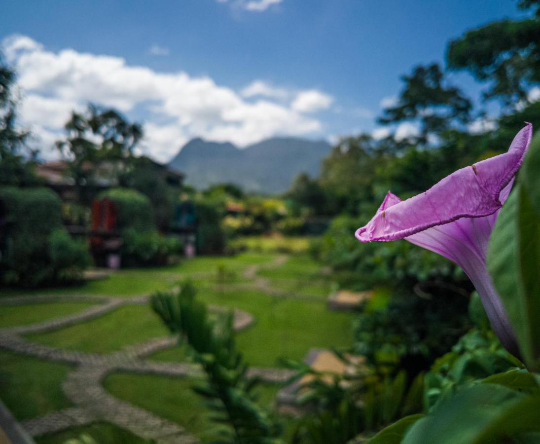 Arenal Backpackers Resort La Fortuna Eksteriør bilde View of the San Juan Mountains from the San Juan del Monte