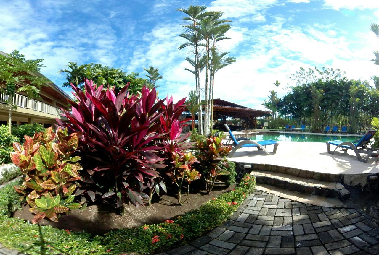 Arenal Backpackers Resort La Fortuna Eksteriør bilde The pool at the resort