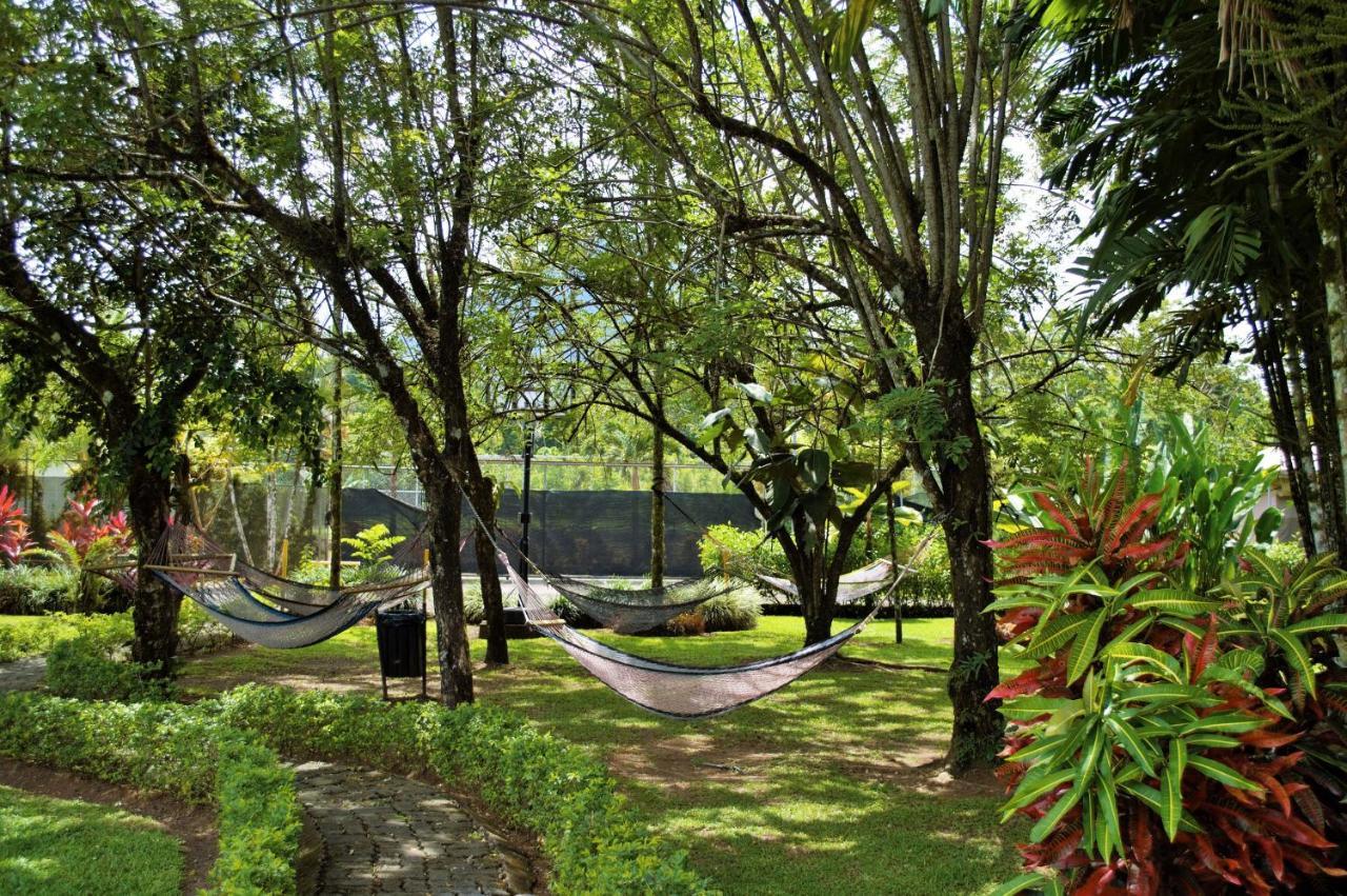 Arenal Backpackers Resort La Fortuna Eksteriør bilde Hammocks at the University of Hawaii at Hilo