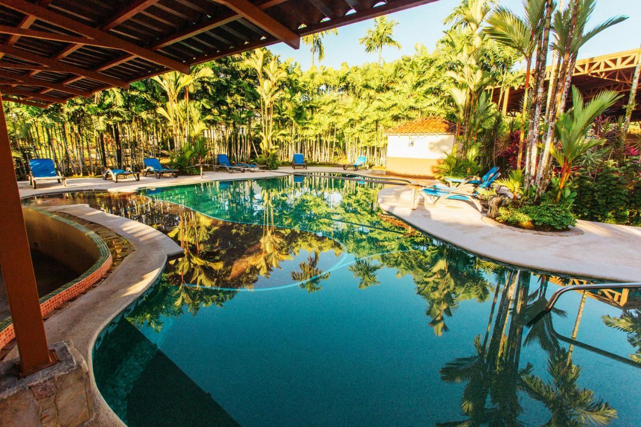 Arenal Backpackers Resort La Fortuna Eksteriør bilde The swimming pool at the resort